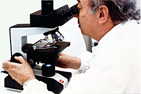 Paolo Boccato al Microscopio